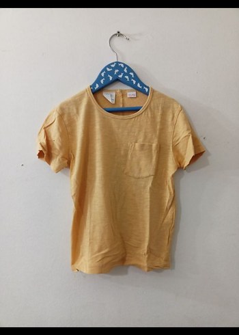 Erkek Çocuk zara Kısa Kollu Tişört