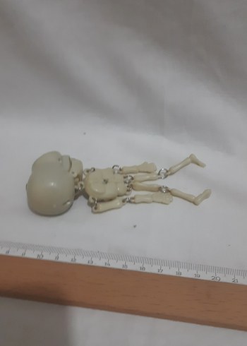Krem Renkli İskelet Figürü - Görsel 3
