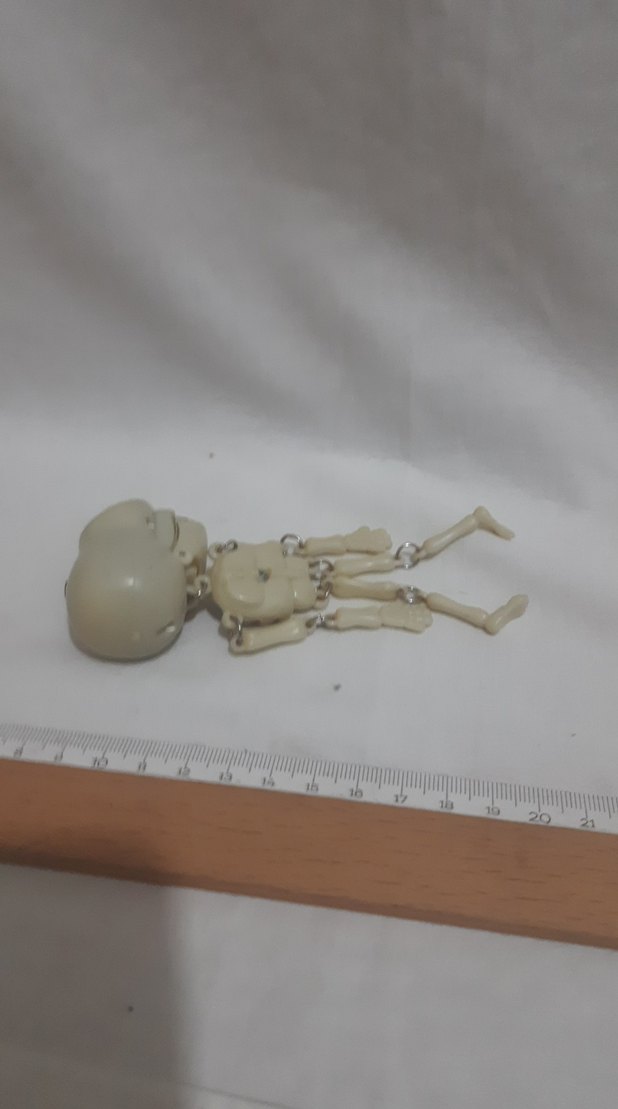 Krem Renkli İskelet Figürü - Görsel 3