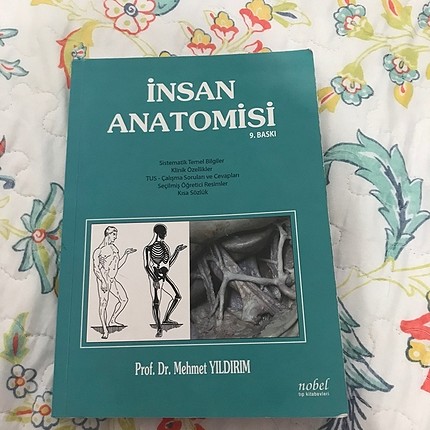 anatomi kitabı