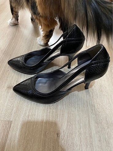 Stiletto