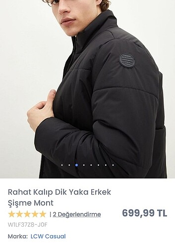 Erkek mont