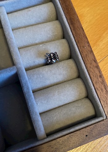 Örümcek Dil Piercing - Görsel 2