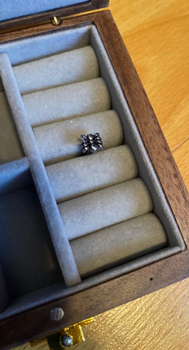 Örümcek Dil Piercing - Görsel 2