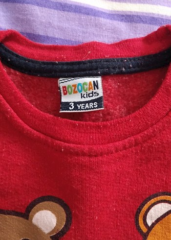 Erkek Çocuk Baskılı Sweatshirt - Görsel 2