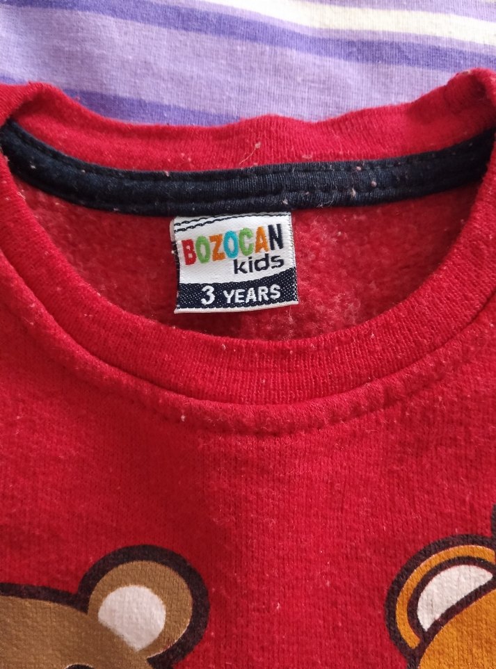 Erkek Çocuk Baskılı Sweatshirt - Görsel 2