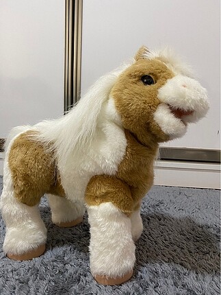 Hasbro