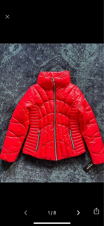 Guess mont