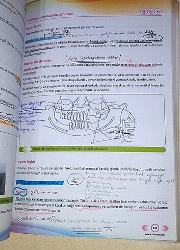 Beden Renk #dusem #dusdata #dis #dishekimligi #dis #kitap #dusem