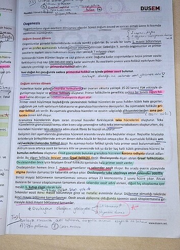 #dusem #dusdata #dis #dishekimligi #dis #kitap #dusem
