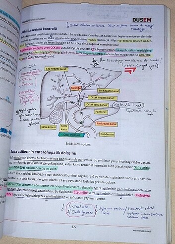  Beden #dusem #dusdata #dis #dishekimligi #dis #kitap #dusem