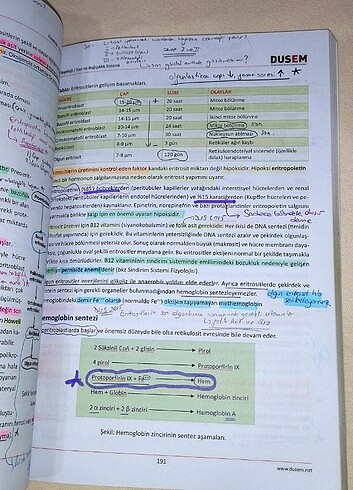 Beden Renk #dusem #dusdata #dis #dishekimligi #dis #kitap #dusem
