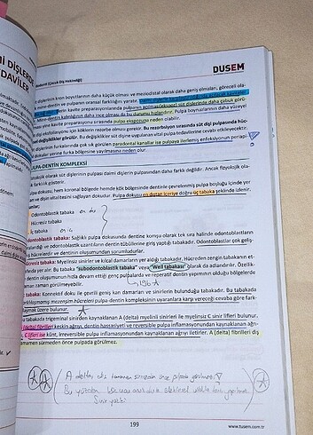 Beden Renk #dusem #dusdata #dis #dishekimligi #dis #kitap #dusem #uzmanlik