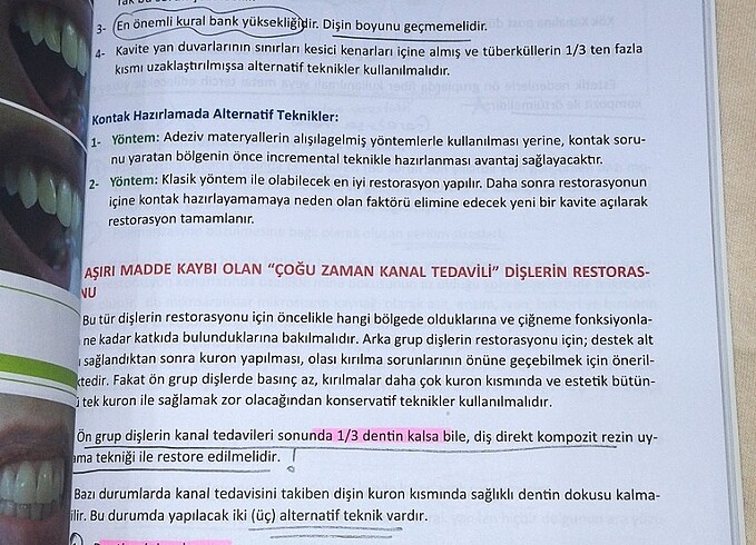 Beden #uzmanlik #dusem #dusdata #dis