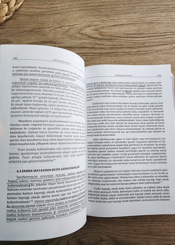 Gıda Biyoteknolojisi Kitabı - Görsel 3