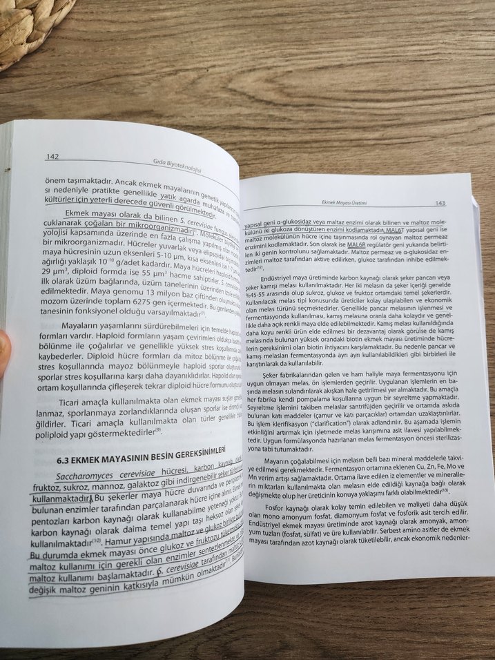 Gıda Biyoteknolojisi Kitabı - Görsel 3