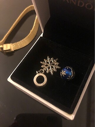 Pandora Pandora charm