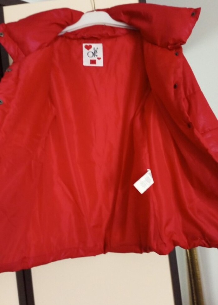 Kışlık Mont tertemiz - Görsel 2