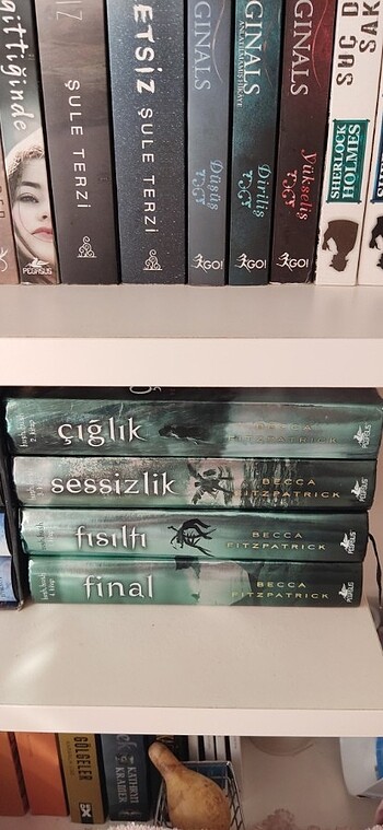  Fısıltı serisi 4 kitap 