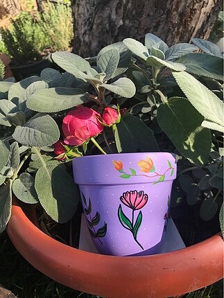 Lila saksı
