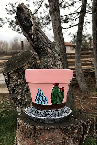  Beden Kaktüs saksı