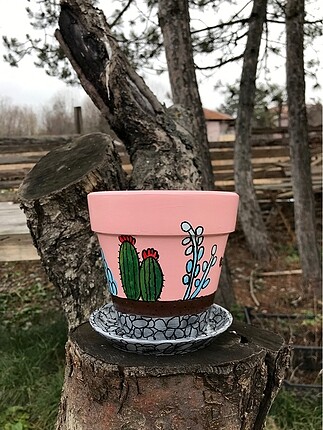 Kaktüs saksı - Görsel 5