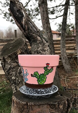 Kaktüs saksı - Görsel 6