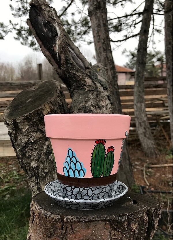 Kaktüs saksı - Görsel 3
