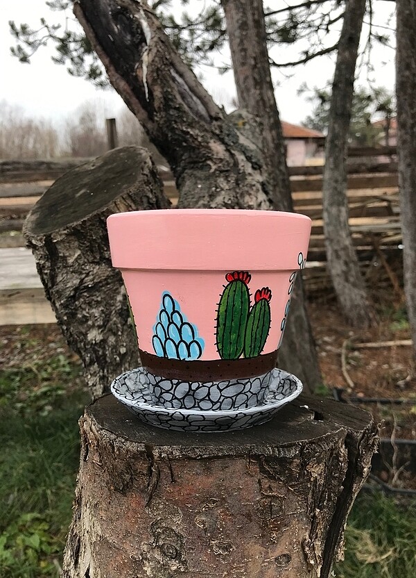 Kaktüs saksı - Görsel 4