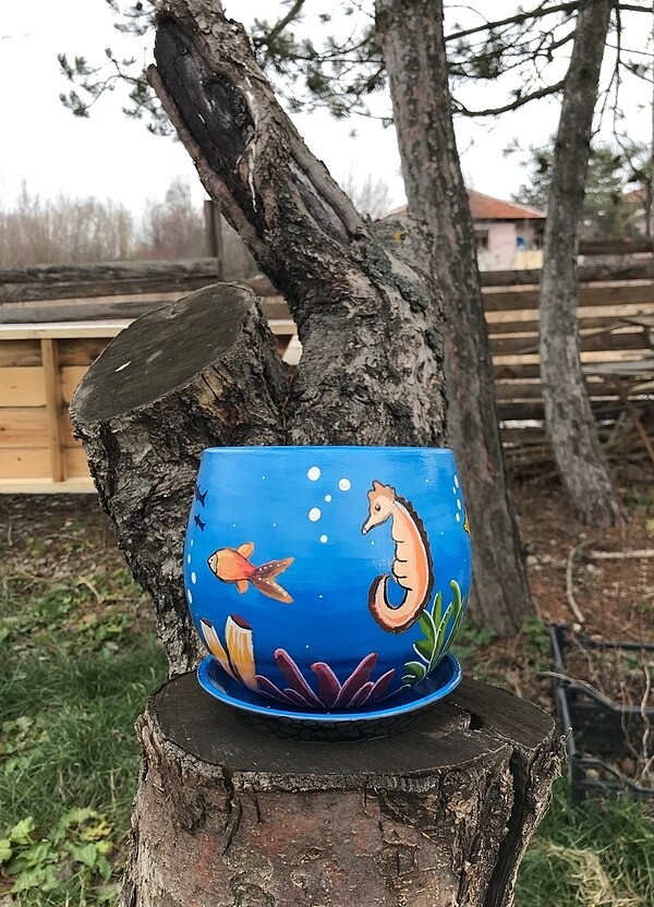 Akvaryum saksı - Görsel 2