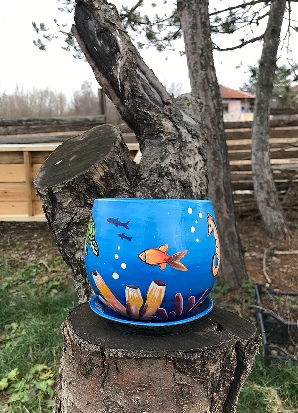 Akvaryum saksı - Görsel 3