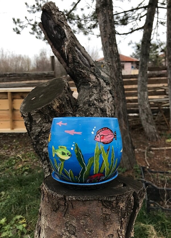 Akvaryum saksı - Görsel 5