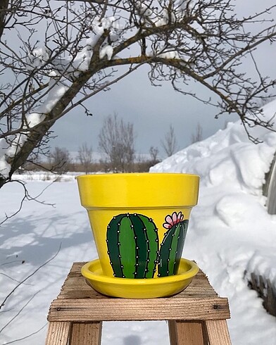 Kaktüs saksı - Görsel 3