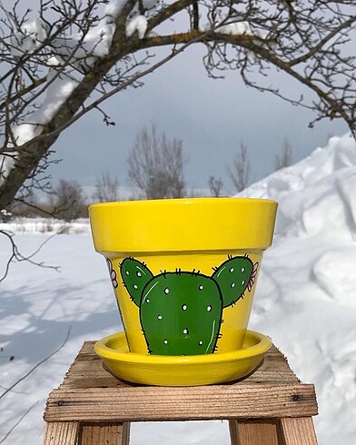 Kaktüs saksı - Görsel 4