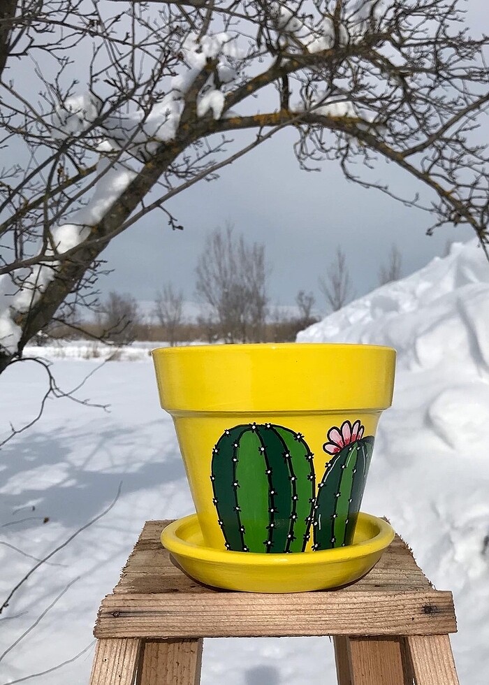 Kaktüs saksı - Görsel 3