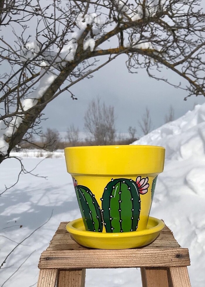 Kaktüs saksı - Görsel 2