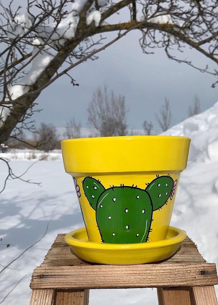 Kaktüs saksı - Görsel 4