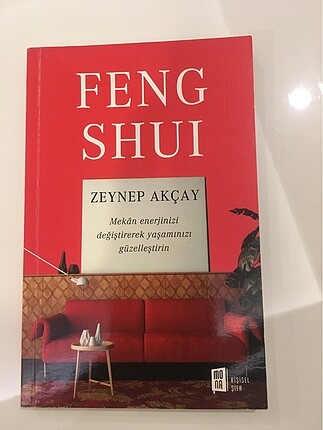 FENG SHUI- Zeynep AKÇAY