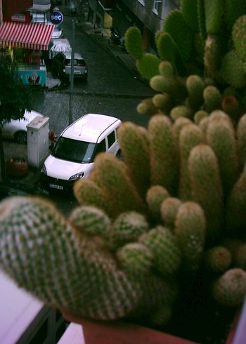 Genius fotoğraf makinesi - Görsel 5