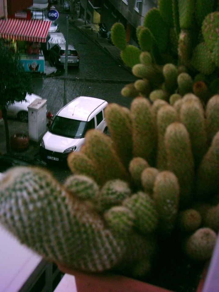 Genius fotoğraf makinesi - Görsel 5