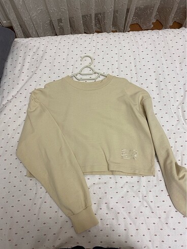 ince sweatshirt crop