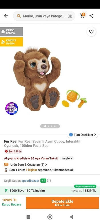 Cubby ayı