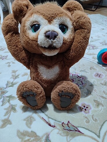 Cubby ayı