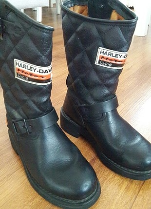 harley davidson bot