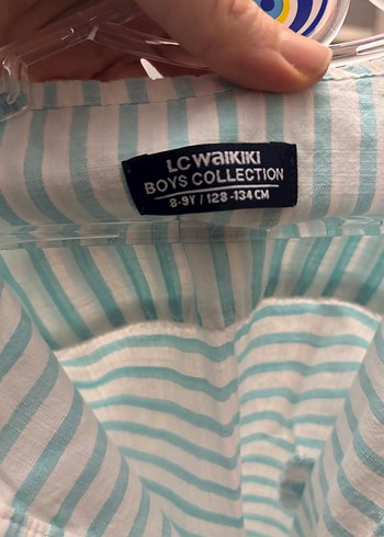 Pastel Çizgili Erkek Kısa Kollu Gömlek - Görsel 3