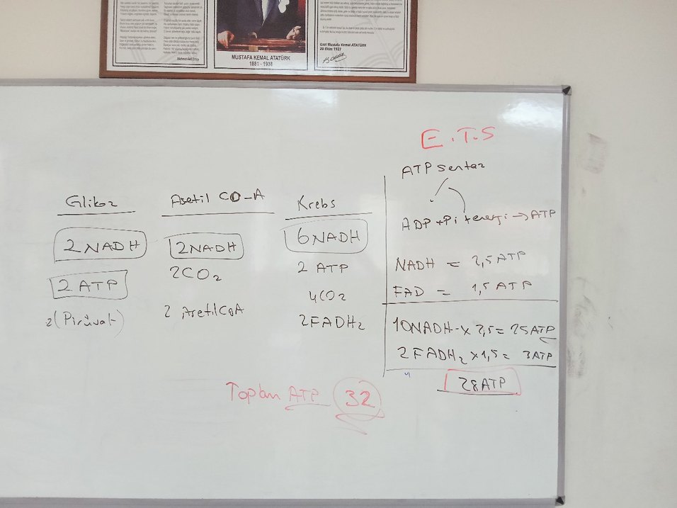 özel ders notları özel dersss - Görsel 2