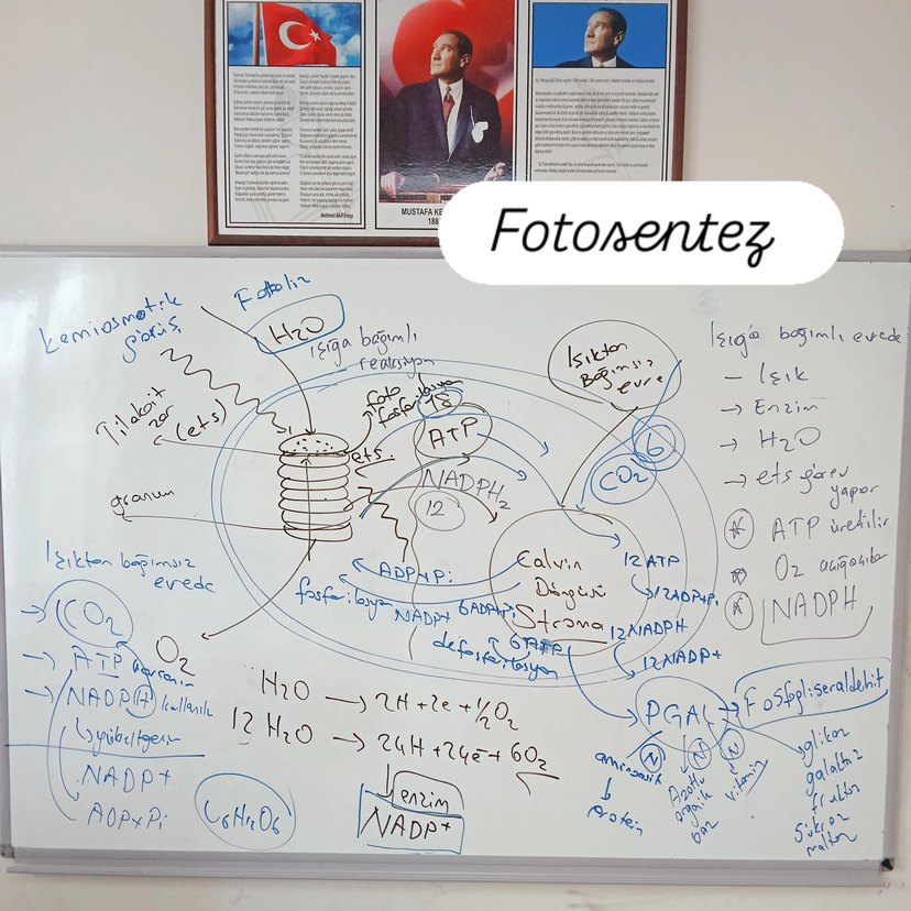 özel ders notları özel dersss - Görsel 3