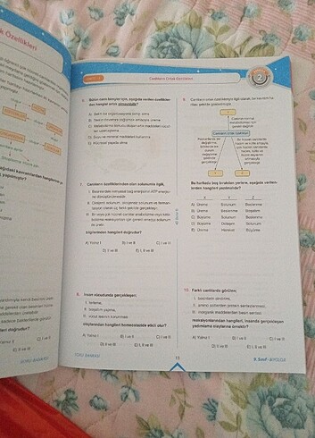 9. Sınıf biyoloji soru Bankası - Görsel 2