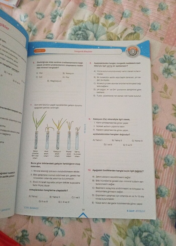9. Sınıf biyoloji soru Bankası  - Görsel 4