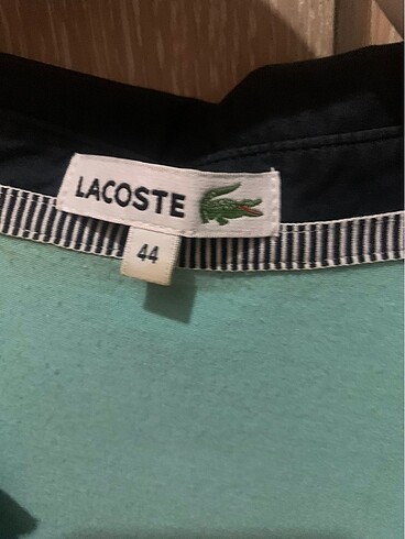 Lacoste Lacoste bayan t-shirt